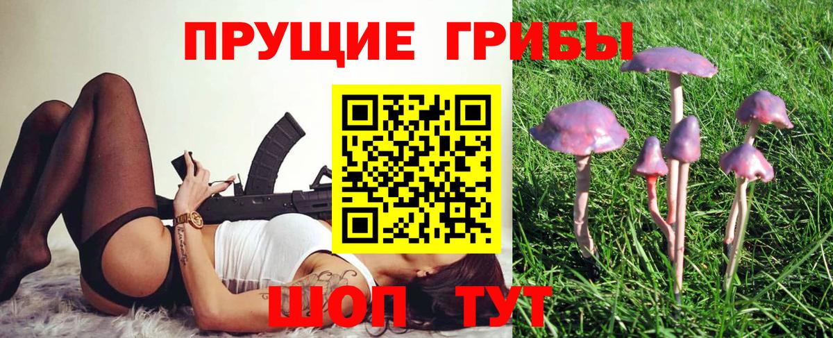 купить закладку  Галлюциногенные грибы ЛСД  Вход с VPN  Семёнов  Галлюциногенные грибы Cubensis 